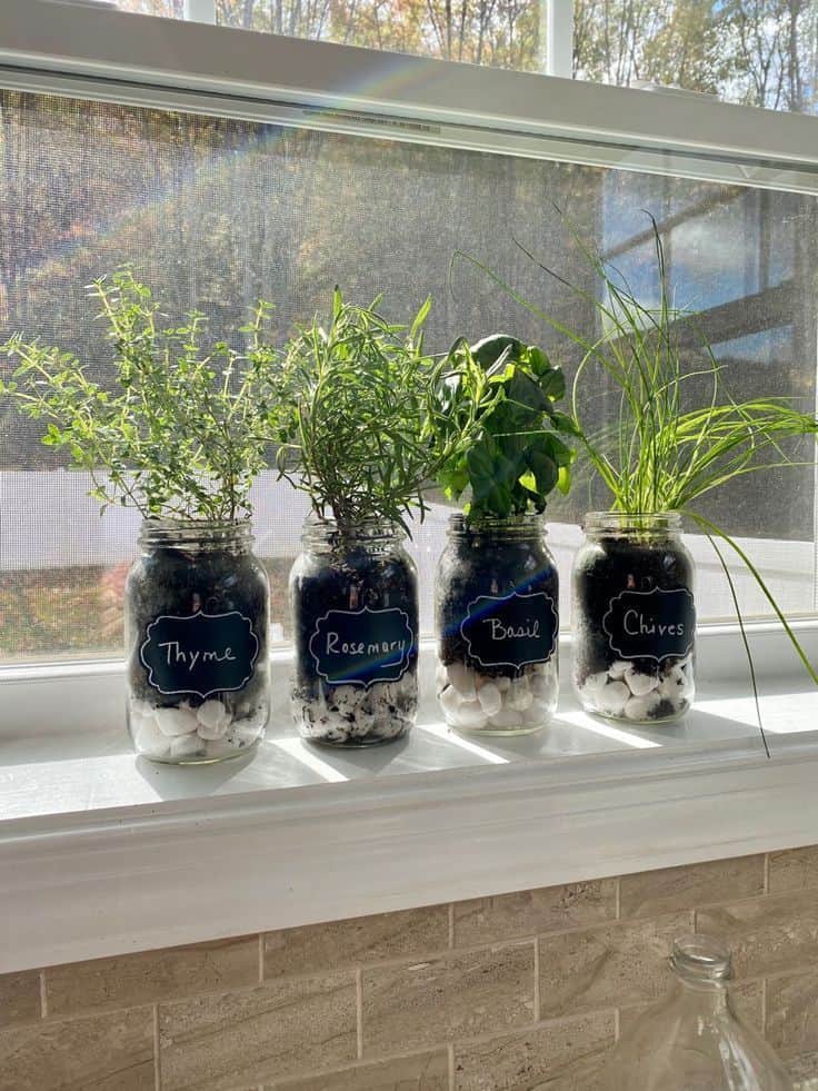 Small Kitchen Windowsill Herbs