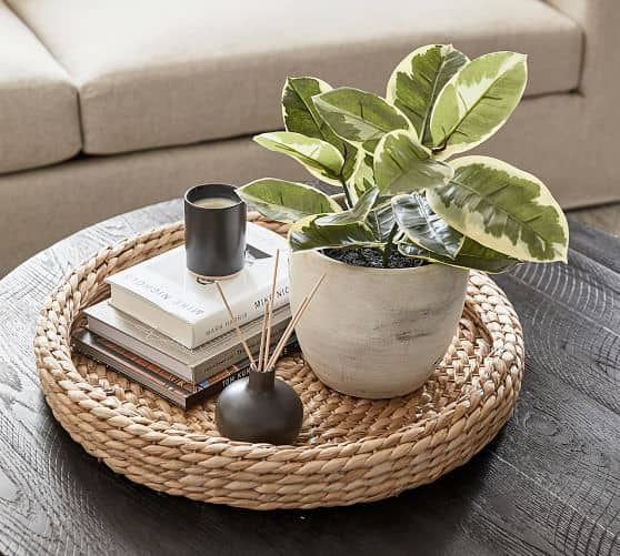 coffee table with plants