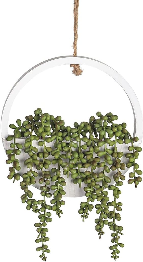 610aoJdzWKL. AC SL1200