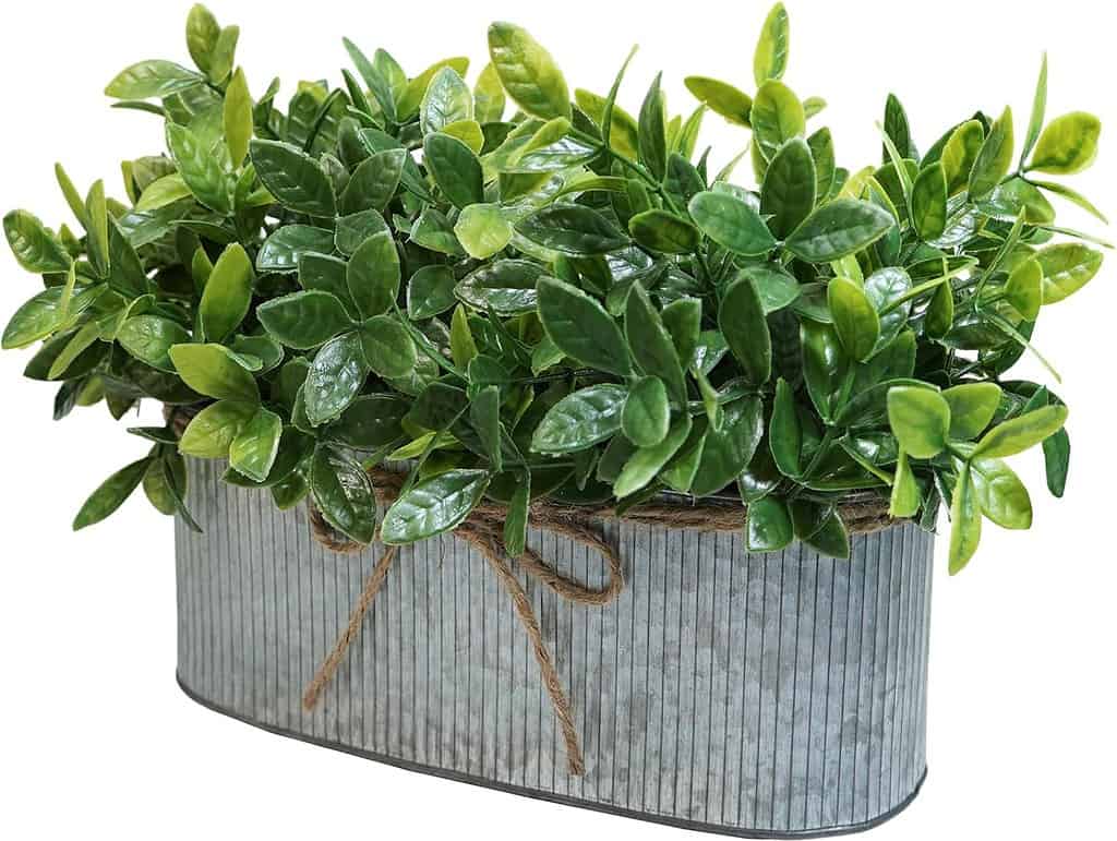 71pLbOhePL. AC SL1500