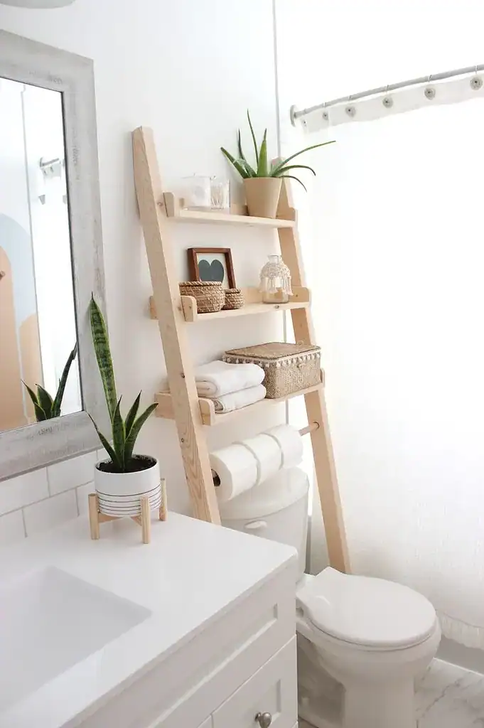 bathroom ladder
