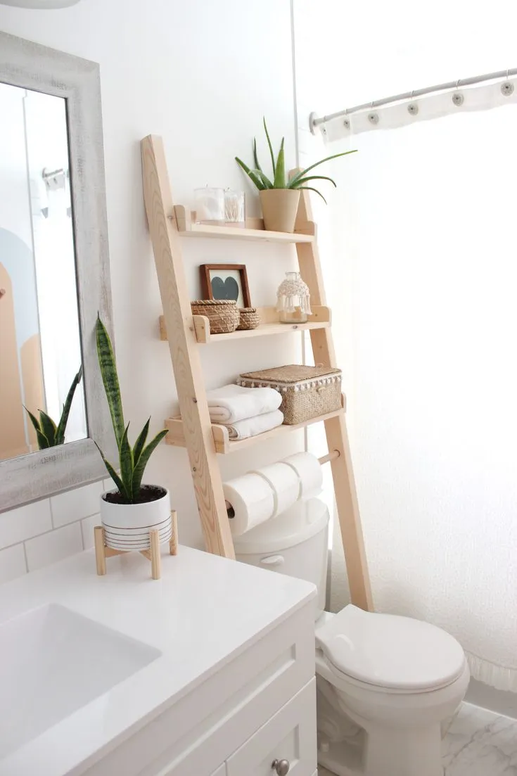 bathroom ladder _