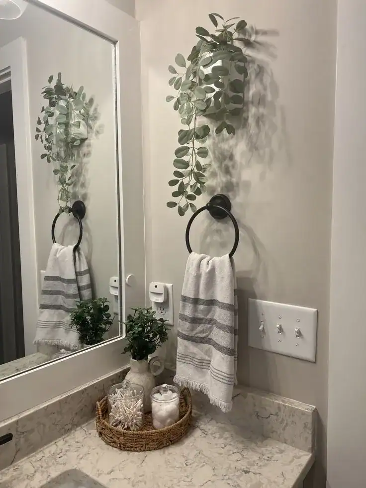 hanging wall plant