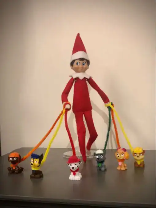 Elf on the Shelf for Pets