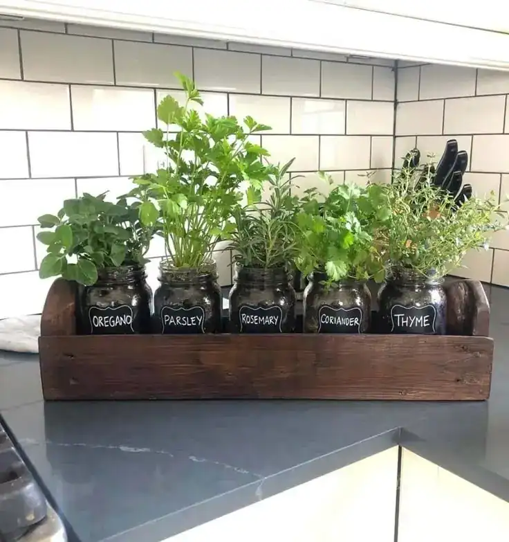 kitchen herb garden